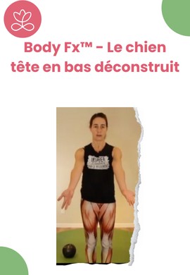 Body Fx™️ - Le chien tête en bas déconstruit